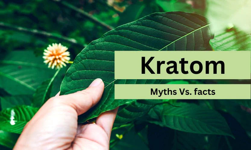 The Kratom Phenomenon: Facts vs. Fiction
